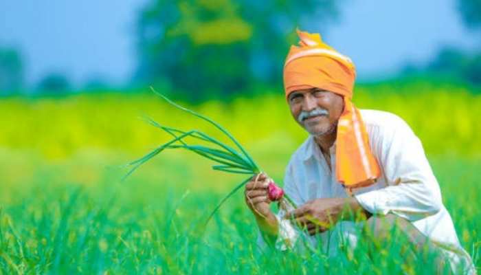MSP News: किसानों को बड़ा तोहफा, धान-मूंग समेत कई फसलों की एमएसपी में बंपर बढ़ोतरी