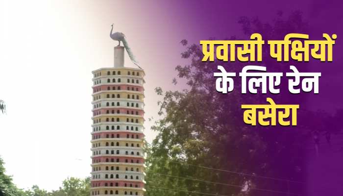 Bird House: अब नहीं भटकेंगे पक्षी दरबदर, इस राज्य में बना पक्षियों के लिए पहला 21 मंजिला आशियाना, देखें वीडियो... https://english.cdn.zeenews.com/static/apprun/fallbackimages/hindi800x400.svg