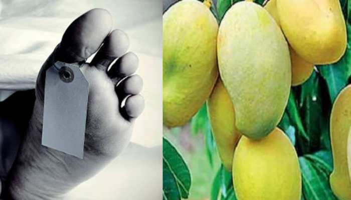 Jaunpur News: दशहरी आम खाने को लेकर हुआ विवाद,चाचा ने भतीजे को उतारा मौत के घाट 