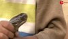 Little Baby with King Cobra: किंग कोबरा को गोद में बिठाकर ऐसे खेलने लगे बच्चे, वीडियो देखने वालों के छूटे पसीने