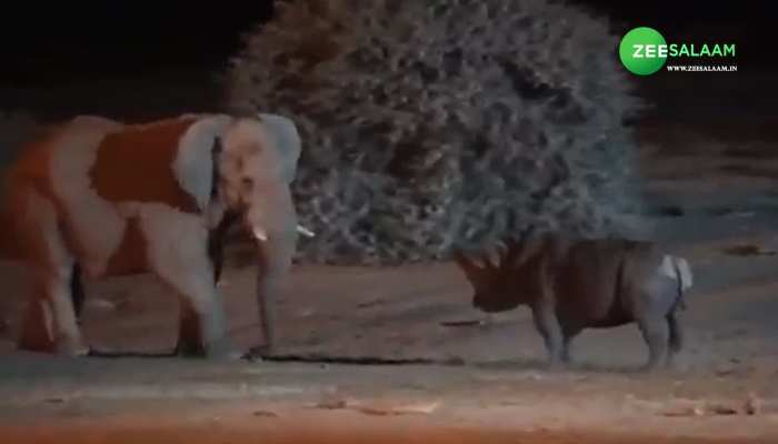 Viral Video: जंगल में हुई हाथी और गैंडे की लड़ाई, देखें किसकी हुई हार और किसकी जीत https://english.cdn.zeenews.com/static/apprun/fallbackimages/hindi800x400.svg