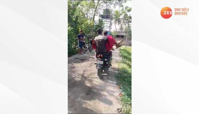 New Viral Video: दुल्हन को शादी के मंडप से उठा ले गए बदमाश https://english.cdn.zeenews.com/static/apprun/fallbackimages/hindi800x400.svg