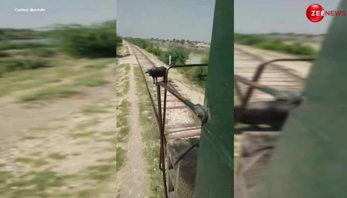 Train Accident Video: ट्रेन के आगे सुसाइड करने आ गई भैंस? फिर उड़ती हुई दूसरी तरफ जा पहुंची; दिल दहला देने वाला है वीडियो https://english.cdn.zeenews.com/static/apprun/fallbackimages/hindi800x400.svg
