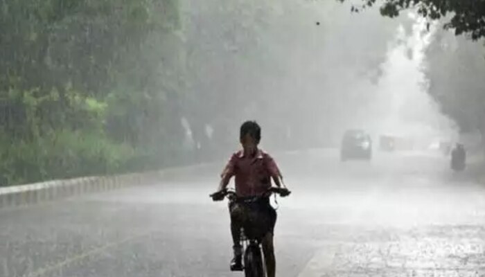 MP के इन जिलों में आज बरसेंगे बादल,  छत्तीसगढ़ में ऐसा रहेगा मौसम, जानें रिपोर्ट