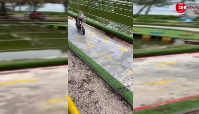 Monkey Viral Video: हैवी राइडर बंदर ने बंदरिया को इम्प्रेस करने के लिए चलाई बाइक, देख लोगों ने वीडियो किया वायरल https://english.cdn.zeenews.com/static/apprun/fallbackimages/hindi800x400.svg