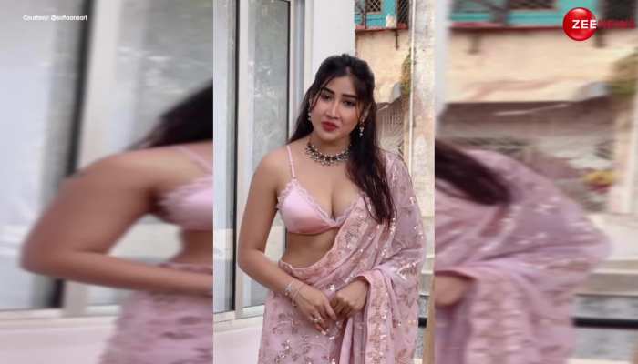 गुलाबों बनीं Sofia Ansari, पिंक चम-चम साड़ी के साथ सेटिन हॉट ब्लाउज पहन दिखाया बोल्ड फिगर https://english.cdn.zeenews.com/static/apprun/fallbackimages/hindi800x400.svg