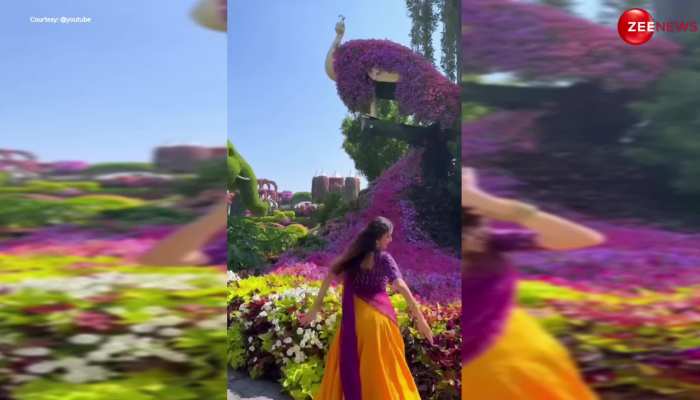 Cute Girl Viral Dance: 'राधा कैसे ना जले' गाने पर फूलों के बगीचे में जाकर लड़की ने किया ऐसा डांस, देख मदहोश हुए लोग https://english.cdn.zeenews.com/static/apprun/fallbackimages/hindi800x400.svg