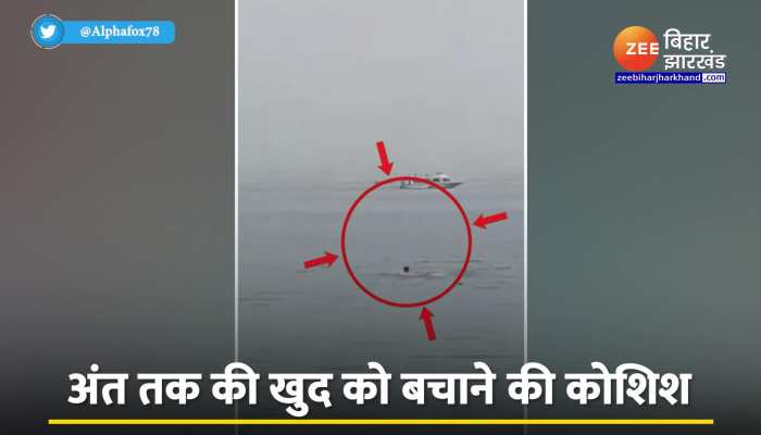 Viral Video:समंदर में तैर रहा था शख्स, शार्क ने कर दिया हमला, सामने आया खौफनाक Video https://english.cdn.zeenews.com/static/apprun/fallbackimages/hindi800x400.svg