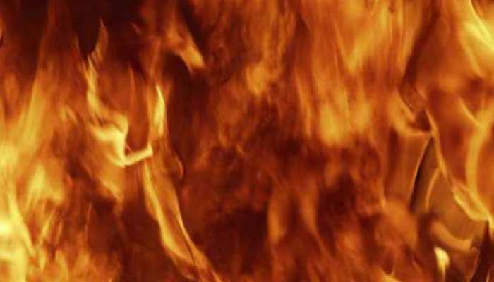 Delhi Fire News: AC ने गर्मी से राहत देने की बजाए उगली आग, हुई बुजुर्ग की मौत