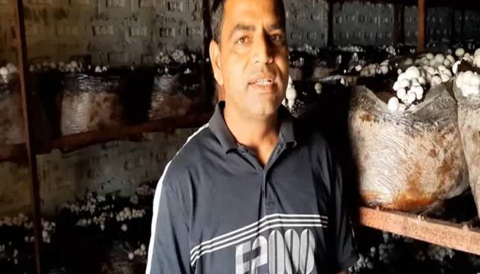 सरकारी नौकरी छोड़ खेतीबाड़ी को बनाया रोजागार, आज लाखों रुपये कमा रहा ये युवा किसान