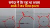  Viral Video: समंदर में Swimming कर रहा था शख्स, Shark ने कर दिया Attack