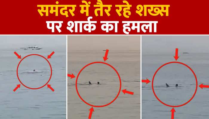 Viral Video:समंदर में तैर रहा था शख्स, शार्क ने कर दिया हमला, सामने आया खौफनाक Video https://english.cdn.zeenews.com/static/apprun/fallbackimages/hindi800x400.svg