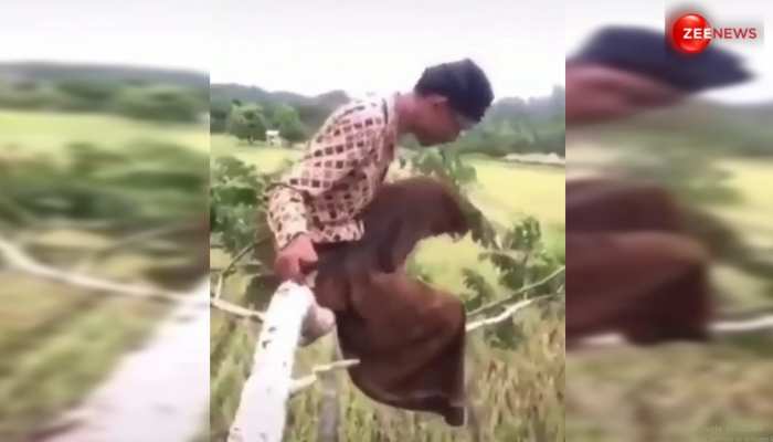 जिस डाल पर बैठा..उसी को काट गिराया, वीडियो देख नहीं रुकेगी हंसी https://english.cdn.zeenews.com/static/apprun/fallbackimages/hindi800x400.svg