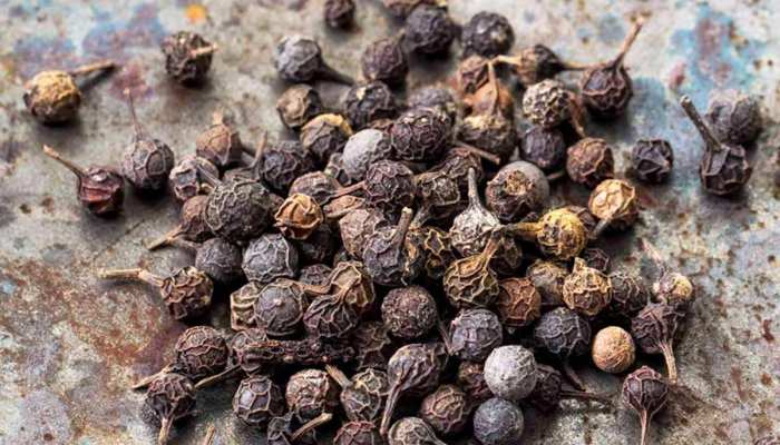 क्या है सुगंध मरीचा : महिला-पुरुषों के गुप्त रोगों के इलाज की जादुई दवा