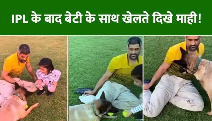 MS Dhoni: IPL की जीत के बाद बेटी जीवा के साथ खेलते नजर आए'कैप्टन कूल'