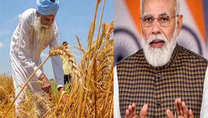 Center asks states to ensure compliance of order on wheat storage limit | Wheat: गेहूं की कीमतों को लेकर सरकार ने सुना दी ये खबर, किसानों पर होगा सीधा असर! | Hindi News, निवेश