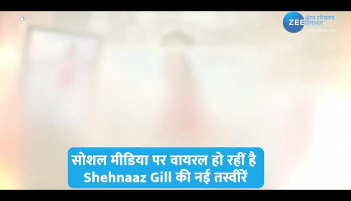 Shehnaaz Gill news: शहनाज गिल की ये तस्वीरें देख फैंस को याद आए सिद्धार्थ शुक्ला 