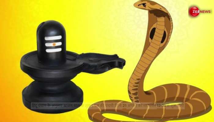 Nag Panchami: 12:21 मिनट पर शरू होगा नाग पंचमी का शुभ मुहूर्त, जानें तारीख और पूजा करने का तरीका