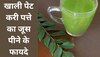 Curry Leaves Juice: खाली पेट करी पत्ते का जूस पीने से वजन होता है कम, बॉडी को मिलते हैं ये बड़े फायदे