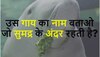 Quiz: उस गाय का नाम बताओ जो समुद्र के अंदर रहती है?