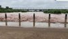 Ghaggar Flood News: ਘੱਗਰ 'ਚ ਬਣੇ ਹੜ੍ਹ ਵਰਗੇ ਹਾਲਾਤ, ਨਦੀ 'ਚ ਨਹਾਉਣ ਤੋਂ ਗੁਰੇਜ਼ ਕਰਨ ਦੀ ਹਦਾਇਤ