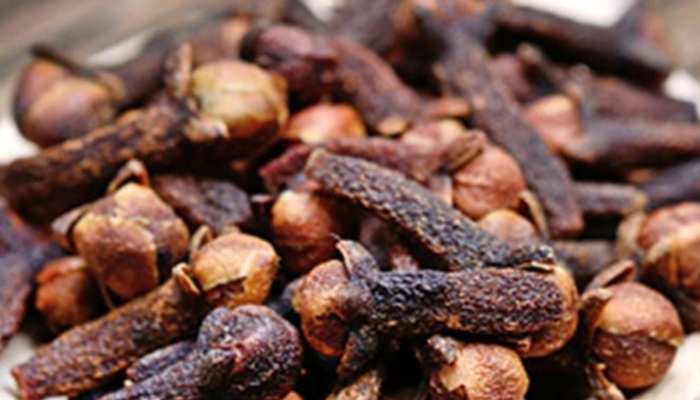 Cloves Benefits: पुरुषों के लिए चमत्कारी है लौंग! दिन में बस करें एक लौंग का सेवन