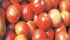 Tomato Price: अभी और 'लाल' होंगे टमाटर, जानिए क्यों बढ़ रहे दाम