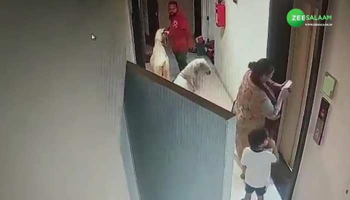 Mumbai BakraEid Video: कुर्बानी के लिए बकरों को सोसाइटी में लाने पर हुआ बवाल, लोगों ने लगाए 'जय श्री राम' के नारे