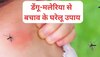 शुरू हुआ मच्छरों का सीजन, डेंगू-मलेरिया से बचने के लिए घर में रख लें ये देसी दवाइयां