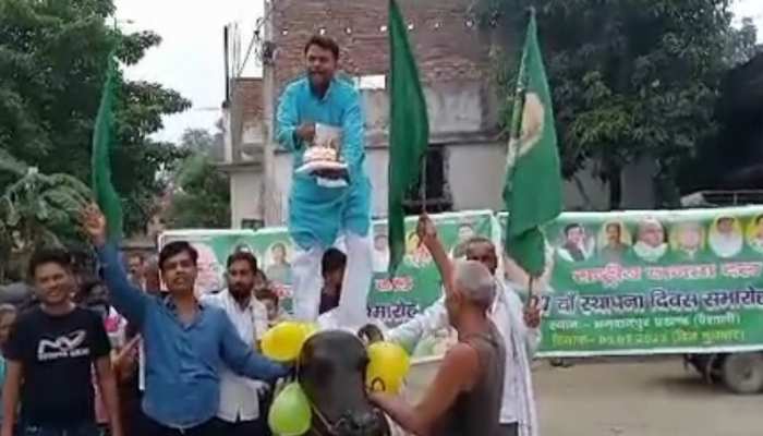 RJD 27th foundation day cake was cutting above buffalo when he fell down  said RJD will not afraid of it | RJD Foundation Day: राजद का 27वां स्थापना  दिवस पर भैंस पर