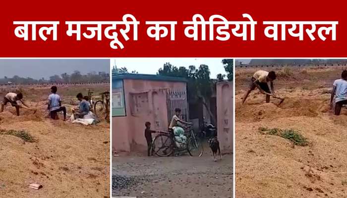 बिहार के इस स्कूल में खूलेआम बाल मजदूरी, यकीन न हो तो देखिए पूरा वीडियो...