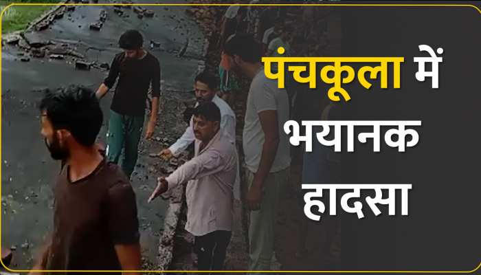 पंचकूला में लेंटर गिरने से 6 पशुओं की मौके पर मौत, गाय की टांग कटकर हुई अलग 