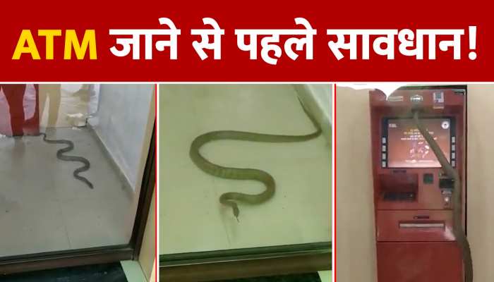 VIDEO: ATM मशीन से निकला जहरीला सांप, देखने वाला हर कोई रह गया हैरान