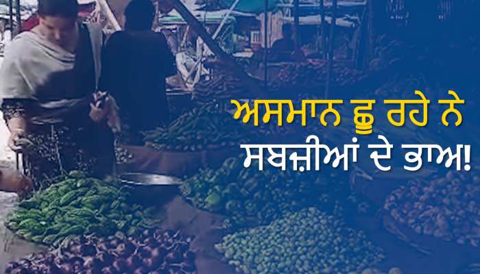 Tomato Price In Punjab: ਟਮਾਟਰਾਂ ਦੇ ਭਾਅ ਨੇ ਆਮ ਲੋਕਾਂ ਦੇ ਚਿਹਰੇ ਕੀਤੇ ਲਾਲ