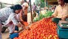 Tomato Price: ଟମୋଟ ଦରକୁ ନେଇ ଆସିଲା ଖୁସି ଖବର, ୯୦ ଟଙ୍କା ତଳକୁ ଖସିଗଲା ଦର !