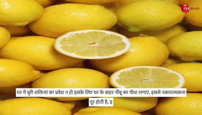 Nimbu Ke Totke: नींबू के ये टोटके बना देंगे सारे बिगड़े काम, बस करना होगा ये उपाय