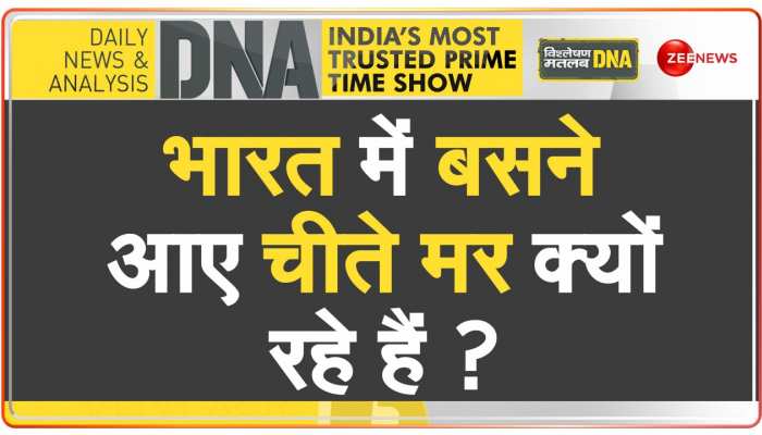 DNA: चार महीने में 8 चीतों की 'डेथ मिस्ट्री'