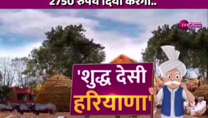 New haryanvi comedy on sale video