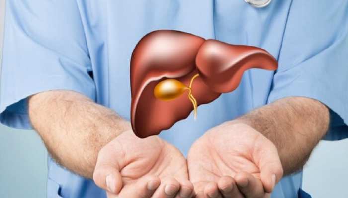 Food For Liver: बारिश में लीवर पड़ जाता है बीमार, इन 5 चीजों से मिलेगा आराम