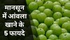 Amla Benefits: मानसून में अमृत से कम नहीं आंवला, शरीर को 5 तरीकों से होता है फायदा