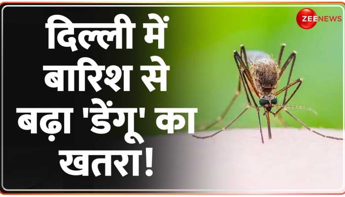 Delhi Dengue News: डेंगू के बढ़ते मामलों पर CM Arvind Kejriwal ने की अहम बैठक