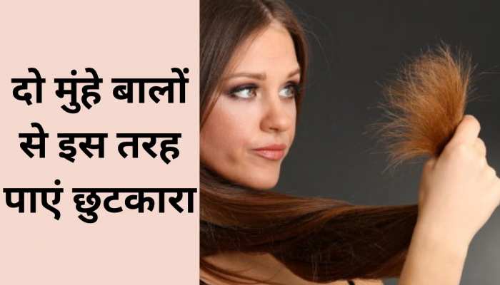Which Oil is Best for Split Ends Treatment |Be Beautiful India | Be  Beautiful India