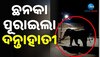 Elephant Viral Video: ରାତିରେ ଦନ୍ତା ହାତୀର ଦୌରାତ୍ମ୍ୟ, ଘର ସହ ଭାଙ୍ଗିଲା ପେଟ୍ରୋଲ ପମ୍ପ