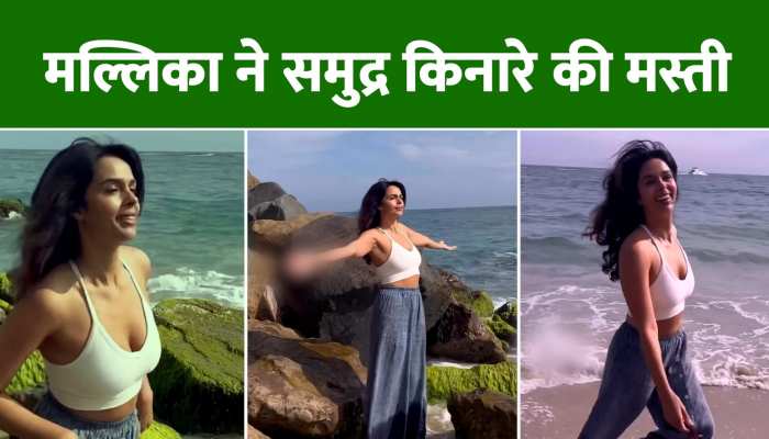 Video: समंदर किनारे मस्ती करती दिखीं  Mallika Sherawat