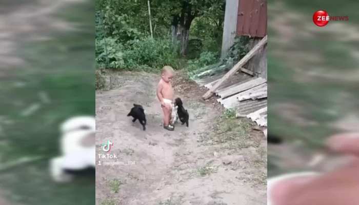 Puppy Video: कुत्ते के बच्चों ने क्यूट से बच्चे के साथ की ऐसी हरकत, देखकर नहीं रोक पाएंगे अपनी हंसी
