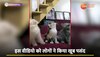 Cat Funny Video: इंसानों की तरह नाचने लगी बिल्लियां, Cat Lover हो जाएंगे खुश