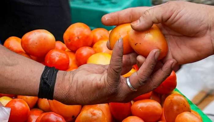 Tomato Price News: ਹੁਣ '50 ਰੁਪਏ' ਦੇ ਮਿਲ ਰਹੇ 3 ਟਮਾਟਰ! ਗਾਹਕਾਂ ਨੇ ਕੀਤੀ ਤੌਬਾ-ਤੌਬਾ