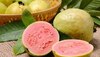 Guava Benefits: रोज इस समय खाएं एक अमरूद, थम जाएगी बढ़ती उम्र! ये हैं और भी फायदे