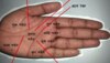 Palmistry : हथेली पर सूर्य रेखा अगर ऐसी हैं तो अमीर खानदान में शादी होगी पक्की 