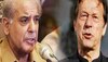 Pakistan Election: शहबाज और इमरान से ज्यादा ताकतवर हुआ यह नेता, बन सकता है पाकिस्तान का अगला प्रधानमंत्री